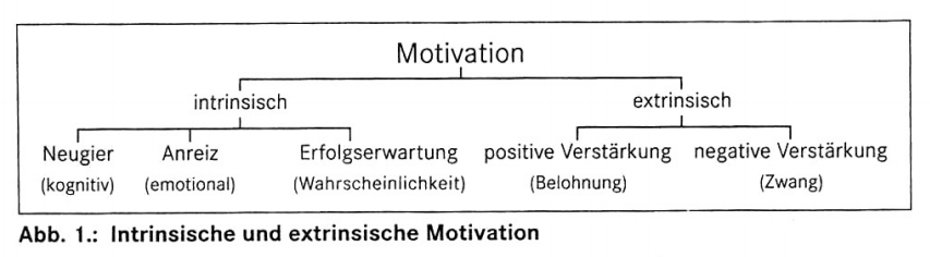 Und beispiele motivation extrinsische intrinsische Extrinsische Motivation